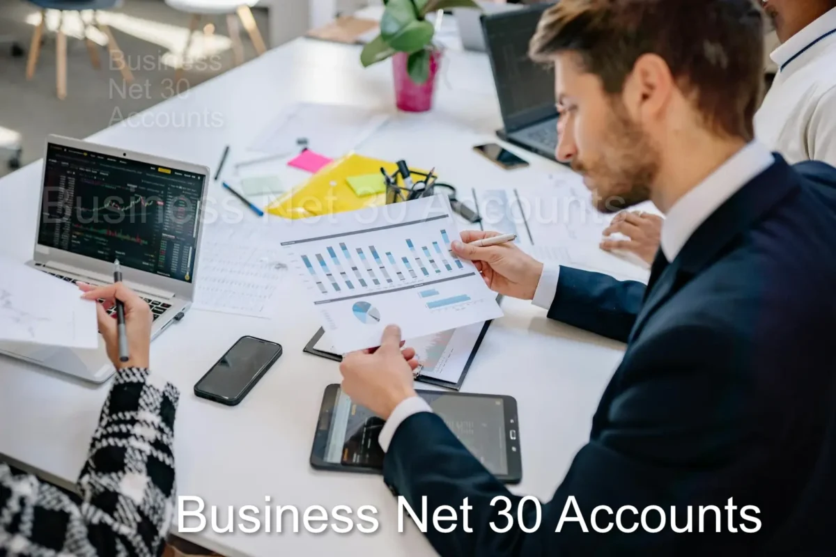 Business net 30 accounts