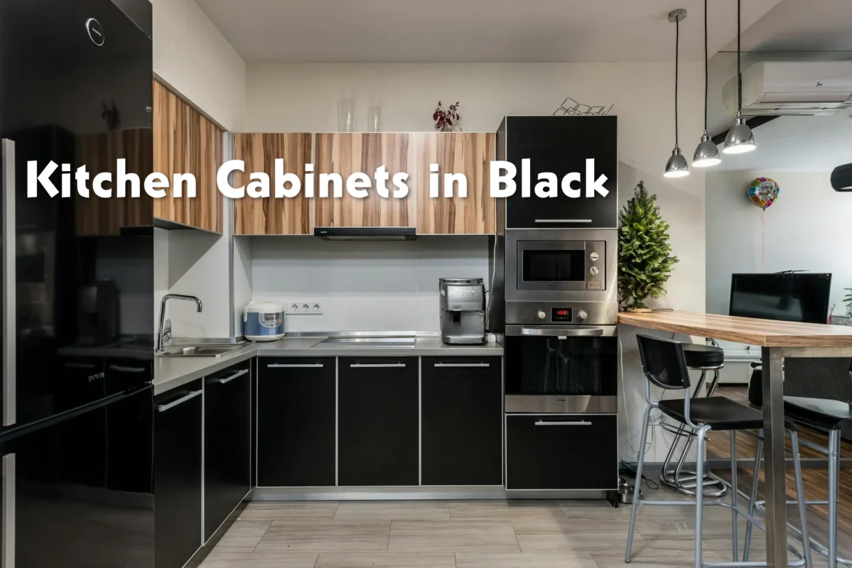 Kitchen cabinets in black